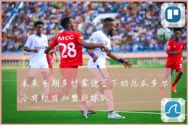 未来可期多特蒙德签下的厄瓜多尔小将即将加盟新球队