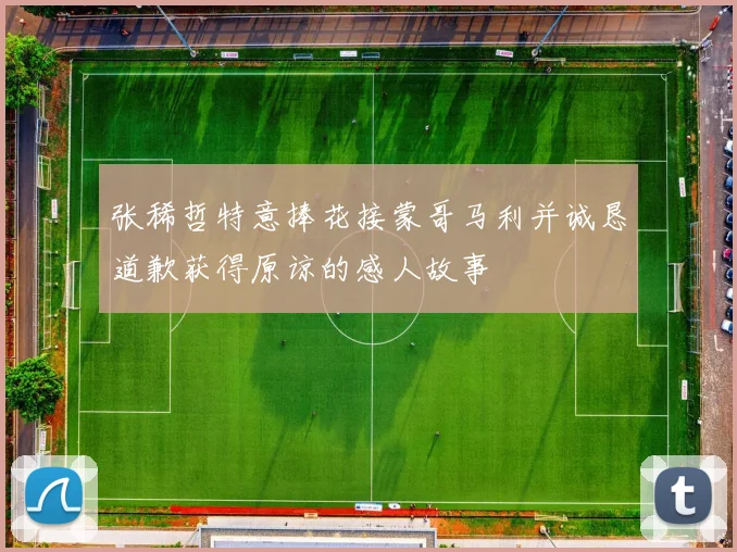 张稀哲特意捧花接蒙哥马利并诚恳道歉获得原谅的感人故事